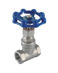 Stainless Steel Globe Valve - 3/8" BSPP