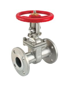 Stainless Steel Flanged Gate Valve